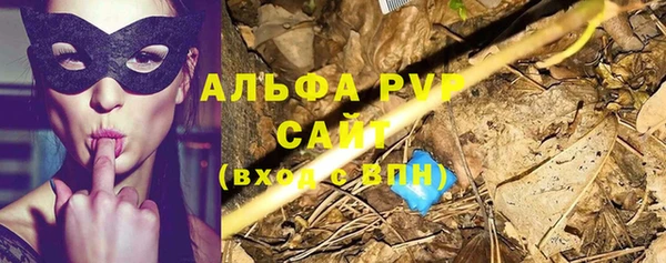 СК Арсеньев