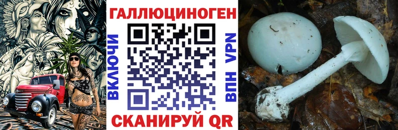 Купить  Котельниково  Псилоцибиновые грибы MAGIC MUSHROOMS 